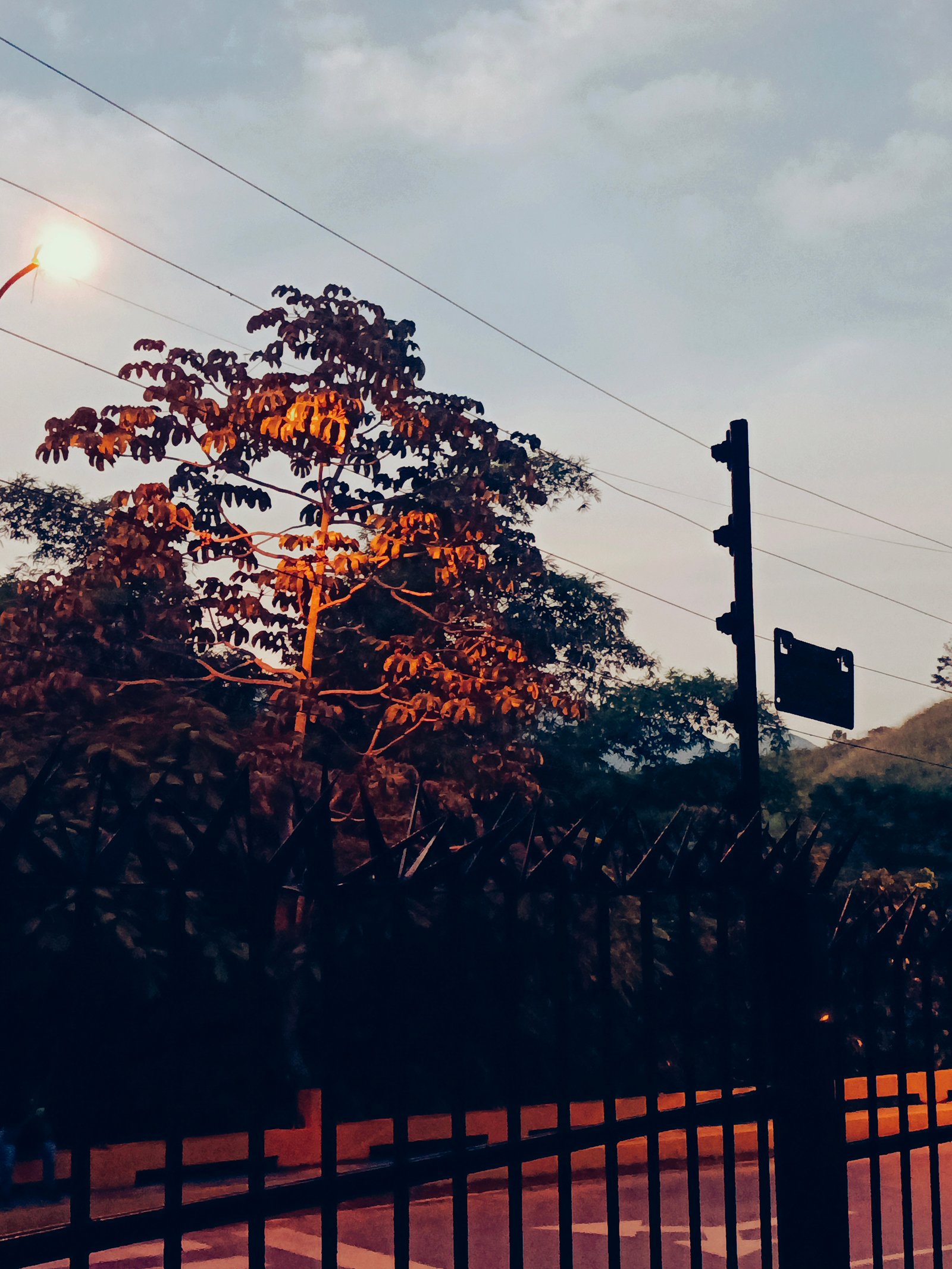 Fotografía & Videografía — Producto